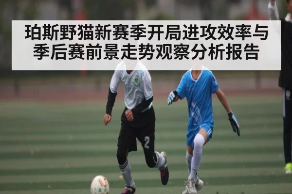 珀斯野猫新赛季开局进攻效率与季后赛前景走势观察分析报告
